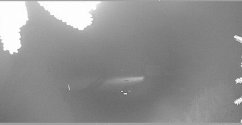 Snímek    27.10.2025 v 20:00