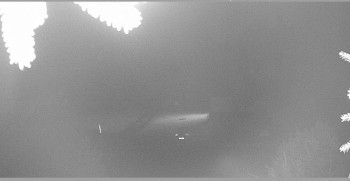 Snímek    27.10.2025 v 20:15