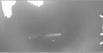 Snímek    27.10.2025 v 22:45