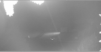 Snímek    27.10.2025 v 23:45