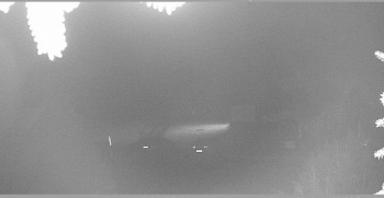 Snímek    28.10.2025 v 20:30