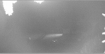 Snímek    28.10.2025 v 22:00