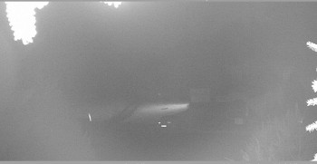 Snímek    29.10.2025 v 00:30