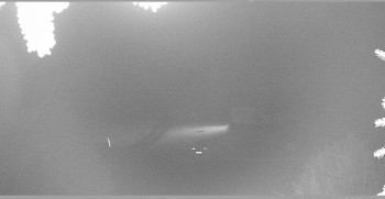 Snímek    29.10.2025 v 02:15