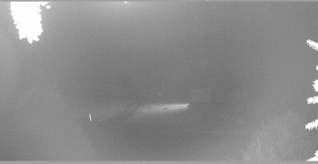 Snímek    29.10.2025 v 21:15