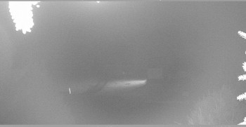 Snímek    29.10.2025 v 21:45