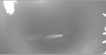 Snímek    29.10.2025 v 22:00