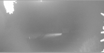 Snímek    30.10.2025 v 01:15