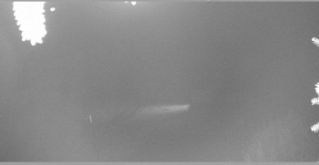 Snímek    30.10.2025 v 04:45