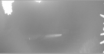 Snímek    30.10.2025 v 05:00