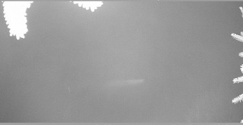 Snímek    30.10.2025 v 05:15