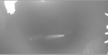 Snímek    31.10.2025 v 02:15