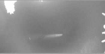 Snímek    31.10.2025 v 03:00