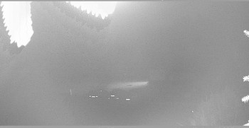 Snímek    31.10.2025 v 18:45