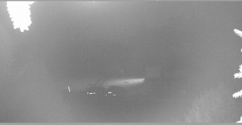 Snímek    31.10.2025 v 20:15