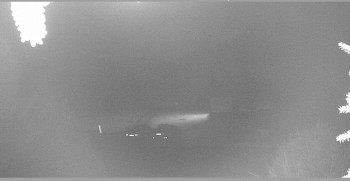 Snímek    31.10.2025 v 21:00