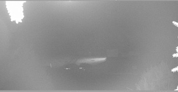 Snímek    1.11.2025 v 04:30