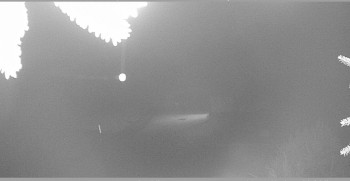 Snímek    2.11.2025 v 23:30