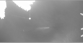 Snímek    3.11.2025 v 00:00