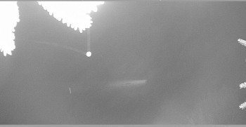 Snímek    3.11.2025 v 00:15