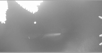 Snímek    3.11.2025 v 02:30