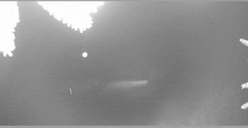 Snímek    3.11.2025 v 02:45