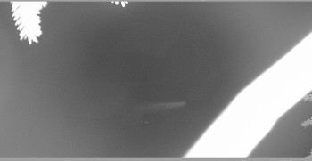 Snímek    3.11.2025 v 19:30