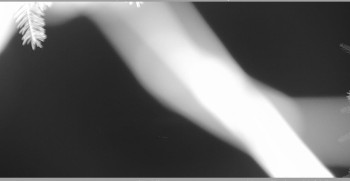 Snímek    3.11.2025 v 20:00