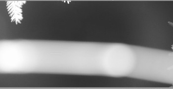 Snímek    3.11.2025 v 20:15