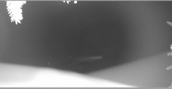 Parkoviště běžecký areál