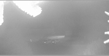 Snímek 6.11.2025 v 02:30