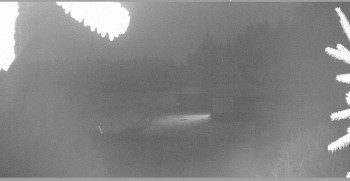 Snímek 6.11.2025 v 23:15