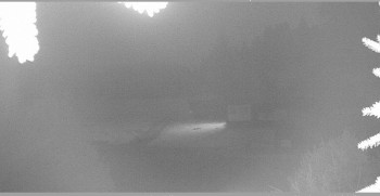 Snímek 7.11.2025 v 00:45