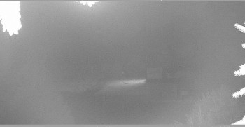 Snímek 7.11.2025 v 01:30