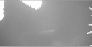 Snímek 7.11.2025 v 01:45