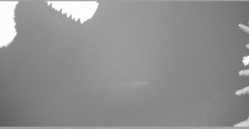 Snímek 7.11.2025 v 02:00