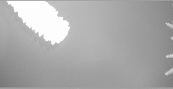 Snímek 7.11.2025 v 02:15