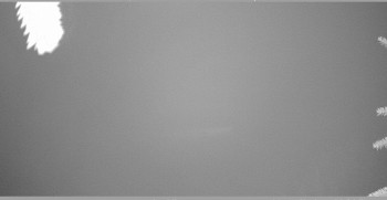 Snímek 7.11.2025 v 02:45