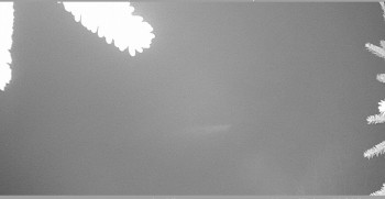 Snímek 7.11.2025 v 03:00