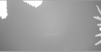 Snímek 7.11.2025 v 03:30