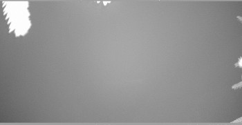 Snímek 7.11.2025 v 03:45