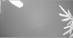 Parkoviště běžecký areál