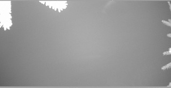 Snímek 7.11.2025 v 05:15