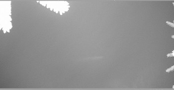 Snímek 7.11.2025 v 05:45