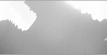 Snímek 7.11.2025 v 06:00