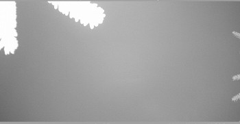 Snímek 7.11.2025 v 06:15