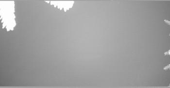 Snímek 7.11.2025 v 06:30