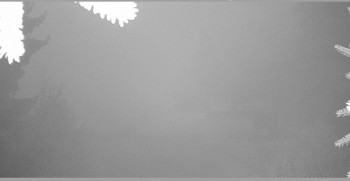 Snímek 7.11.2025 v 06:45