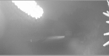 Snímek 7.11.2025 v 20:15