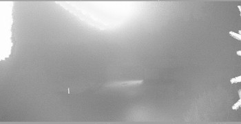 Snímek 8.11.2025 v 00:15